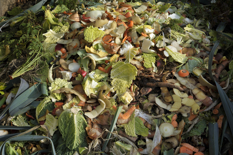 Why Proper Packaging and Cardboard Disposal Matters Today